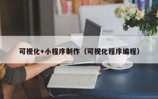 沅江可视化+小程序制作（可视化程序编程）